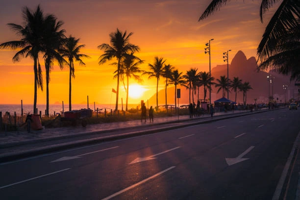 Atardecer dorado en la costa de Río de Janeiro con palmeras y montañas